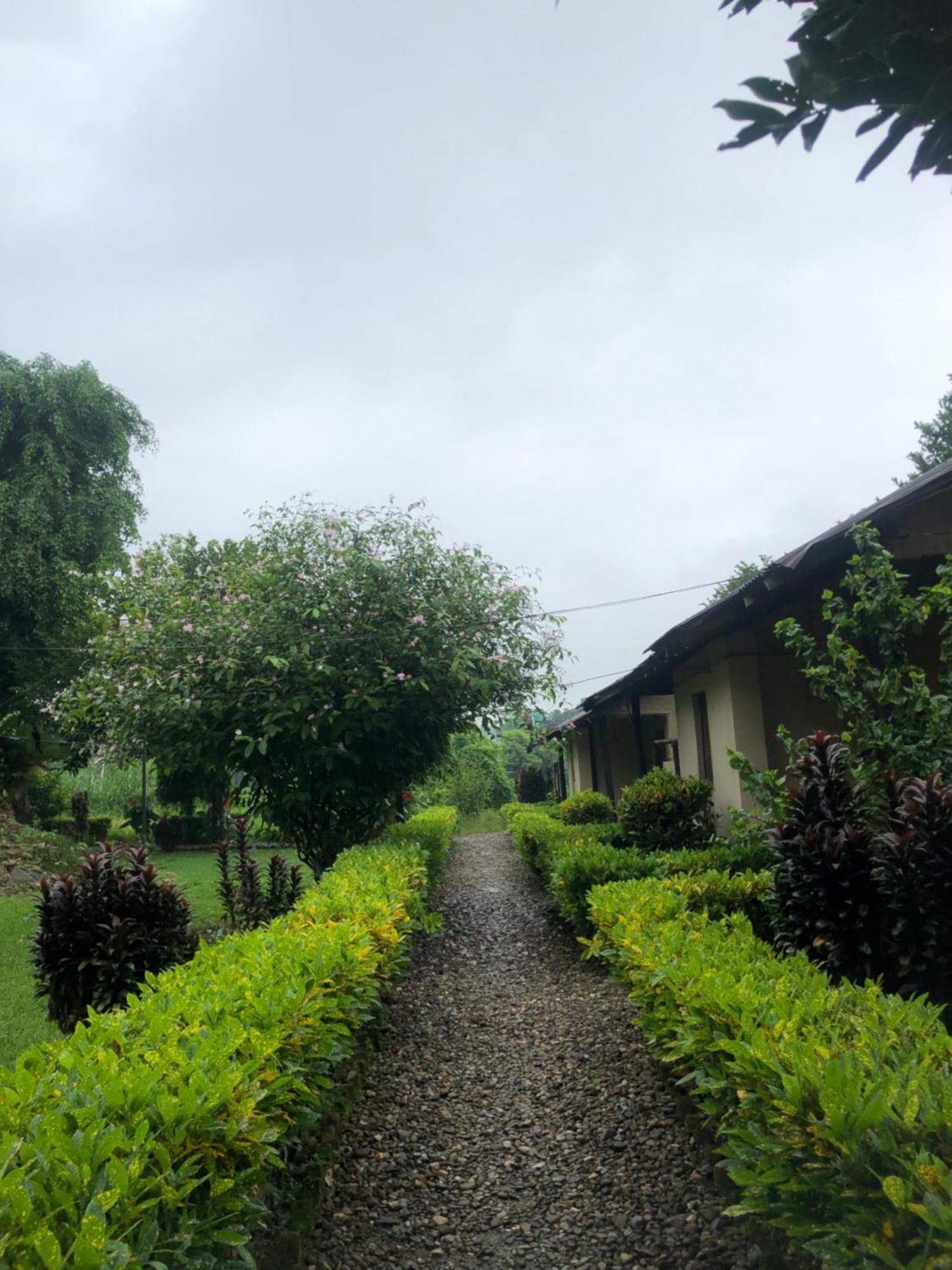 צ'יטוואן Hotel Tharu Garden And Beer Bar מראה חיצוני תמונה